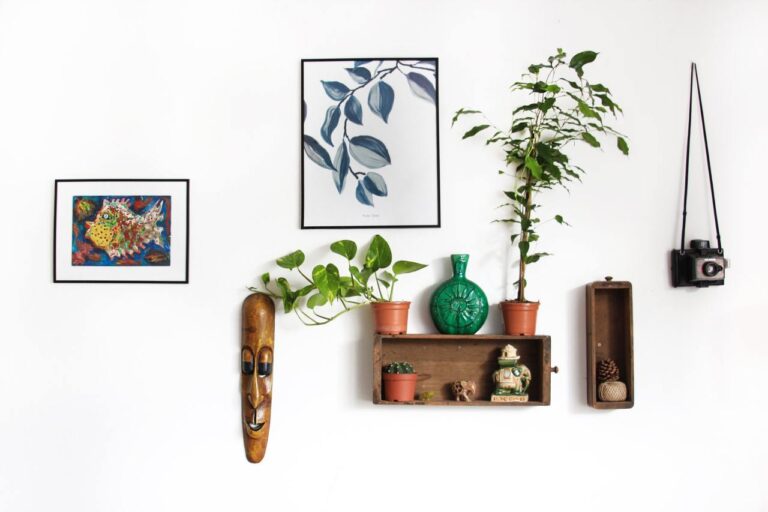 plants on a white wall