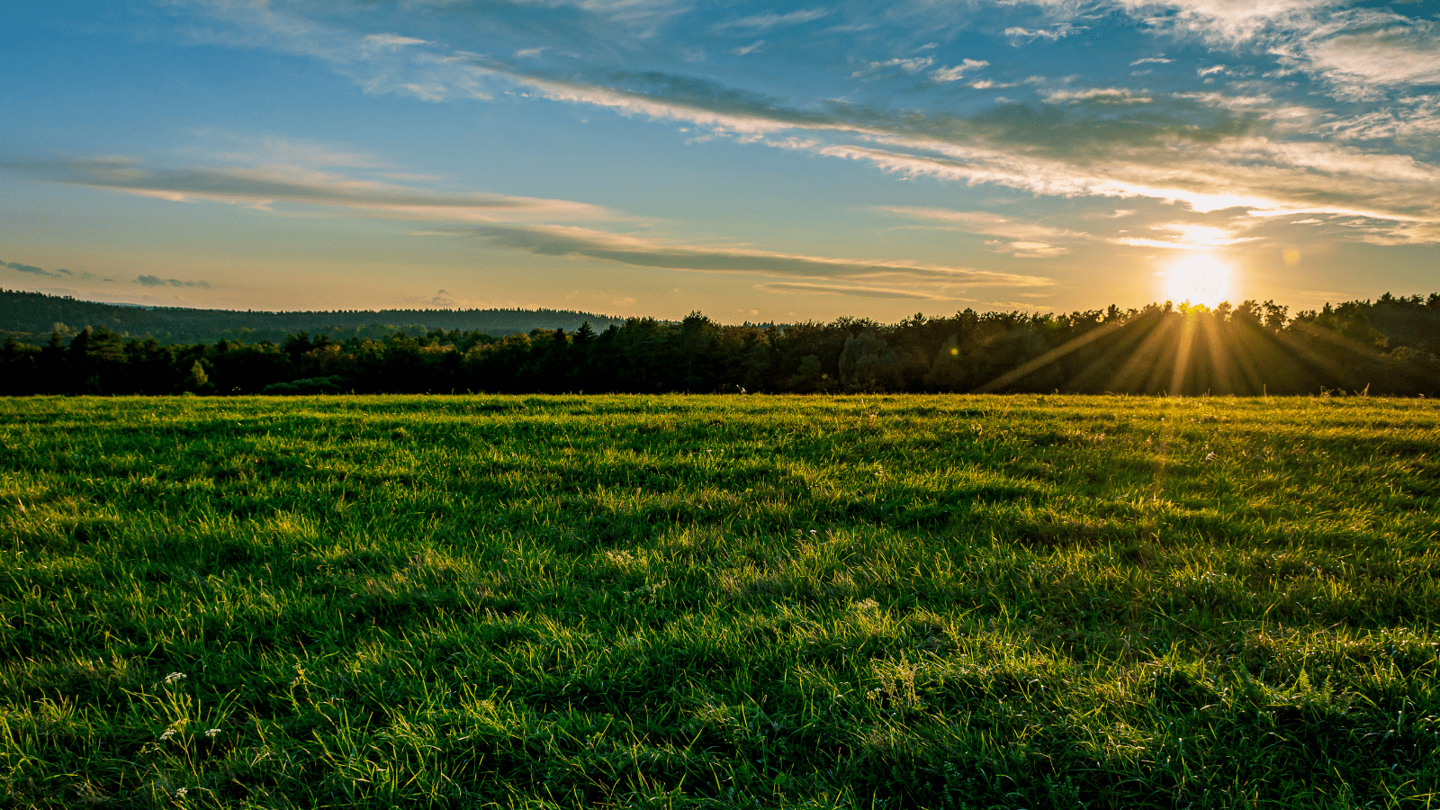 Green field and blue sky