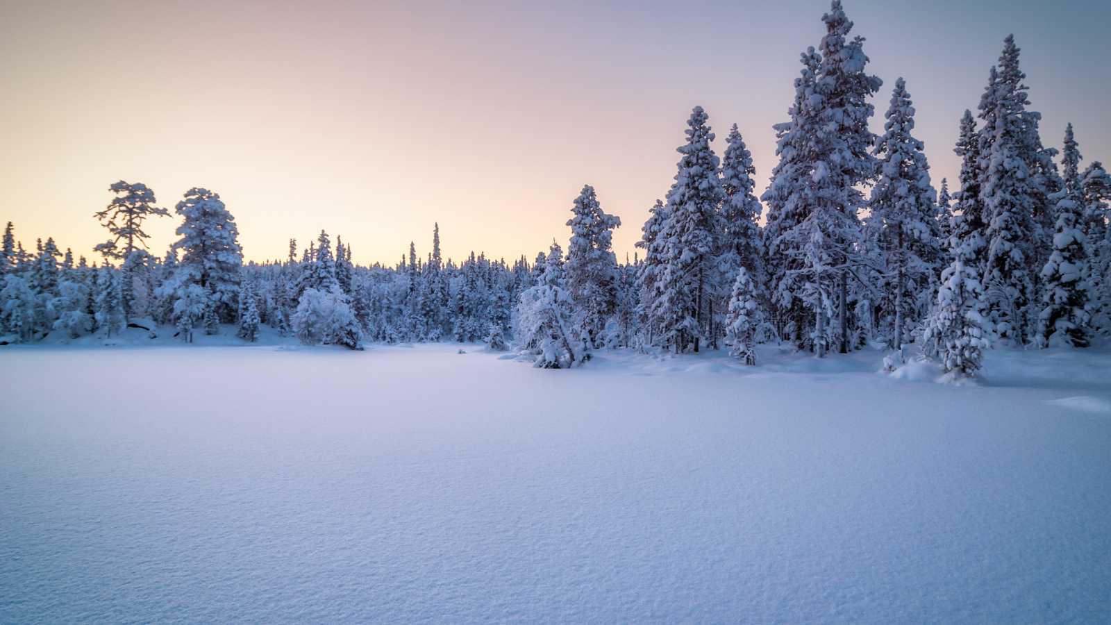 Snow Scene