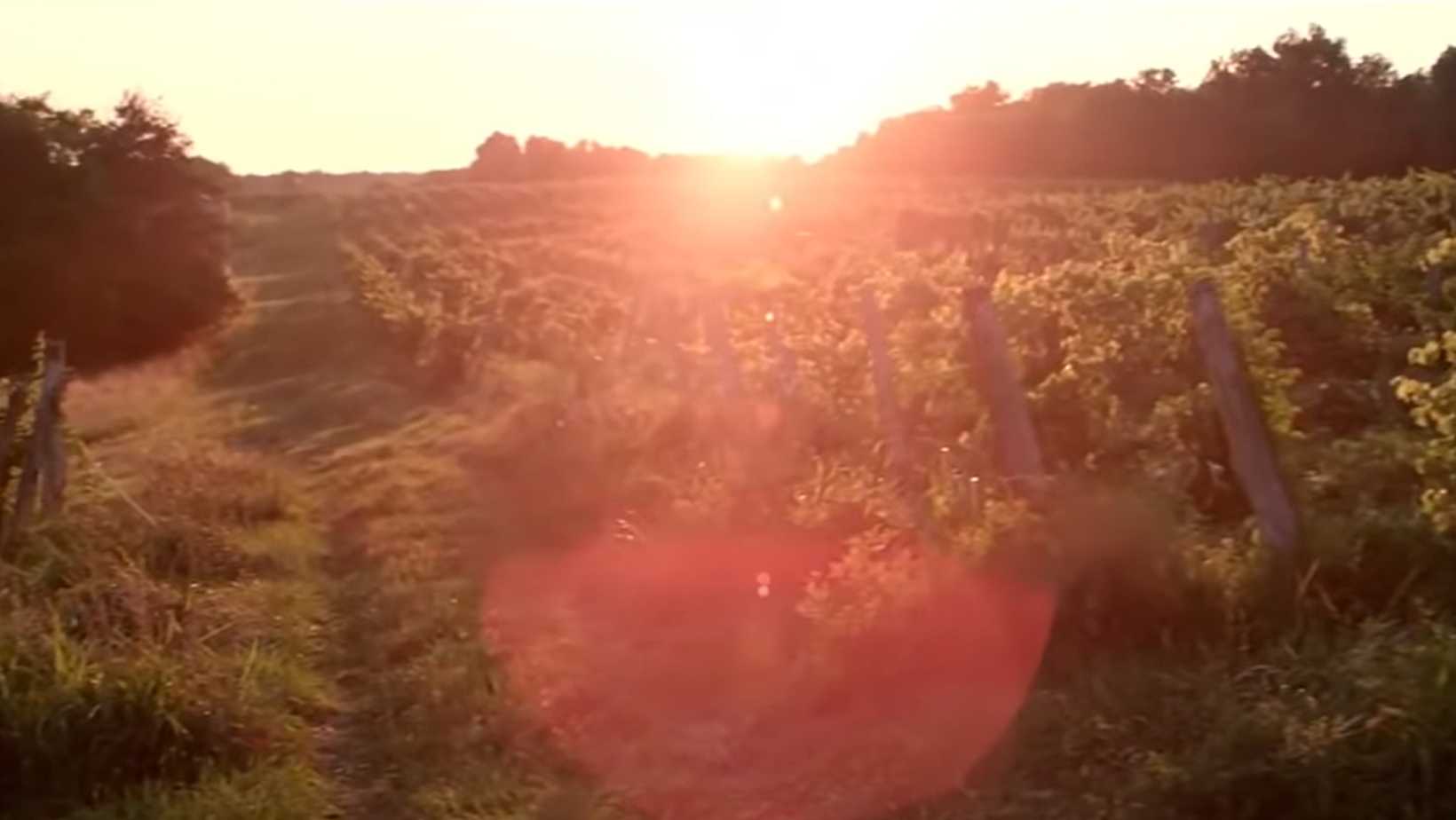 Pathway to beautiful fields