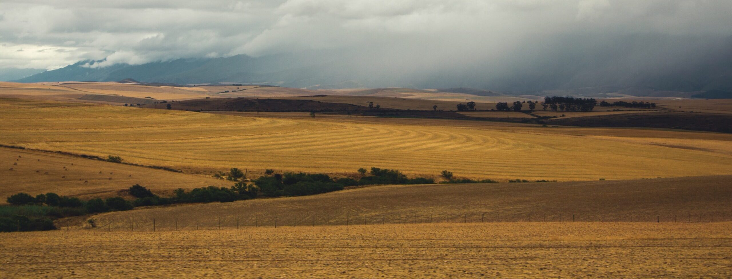 a brown field - landscape of farmland